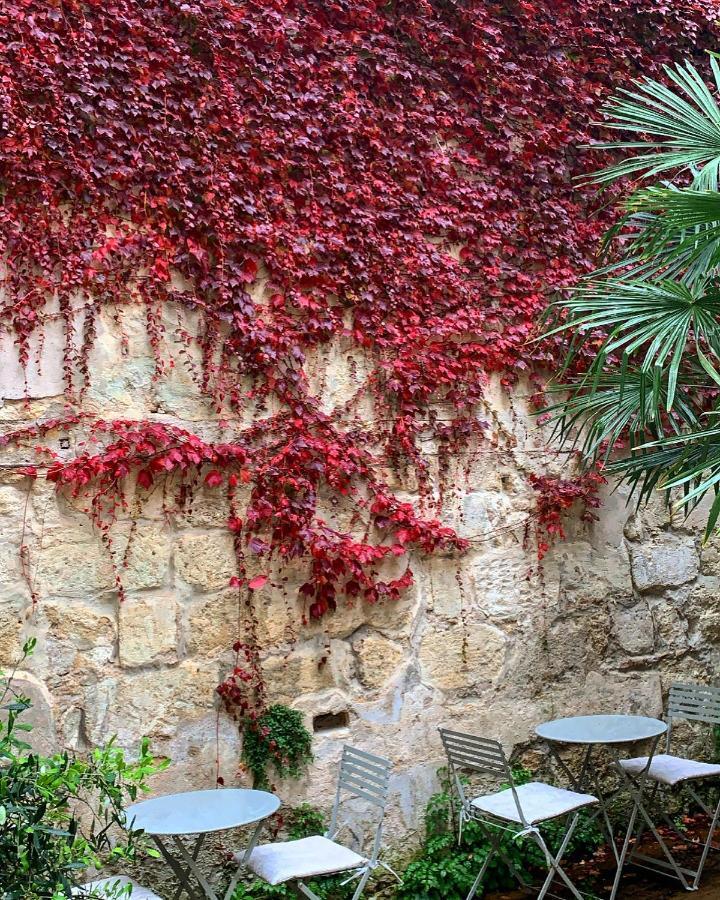 B&B La Maison Galiene Bordeaux Exterior photo